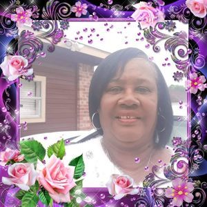 Meet your Posher, Dora